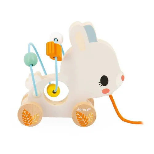 Pull Along Toy, Baby Toy, Wood Toy, Bear, Rabbit, Snail, Fox, Bird